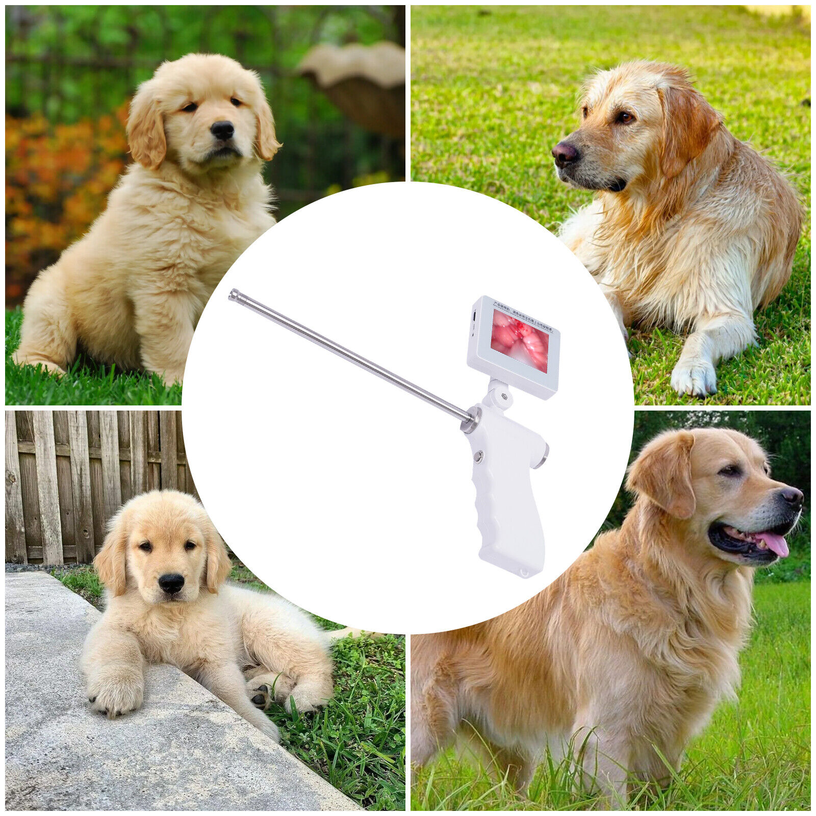 Visual Artificial Dog Insemination Gun Kit 5MP Camera + 20x Insemination Tubes Unbranded Does Not Apply - фотография #3