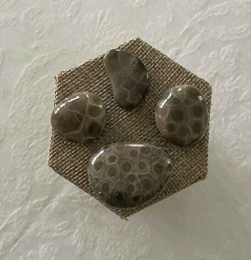 A SET OF 4 PETOSKEY STONES - GREAT PRICE INCLUDES FREE SHIPPING! Без бренда - фотография #4