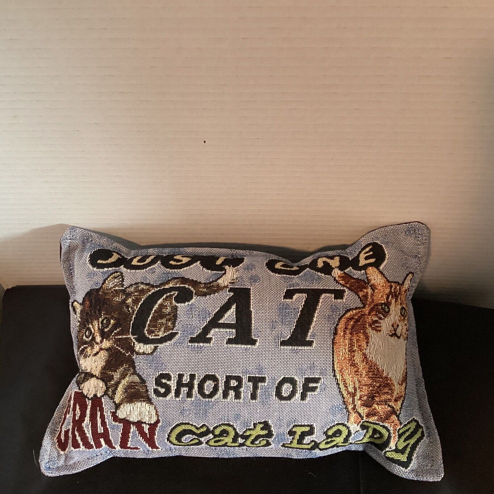Cat Throw Pillow Tapestry “One Cat Short” Unbranded - фотография #4