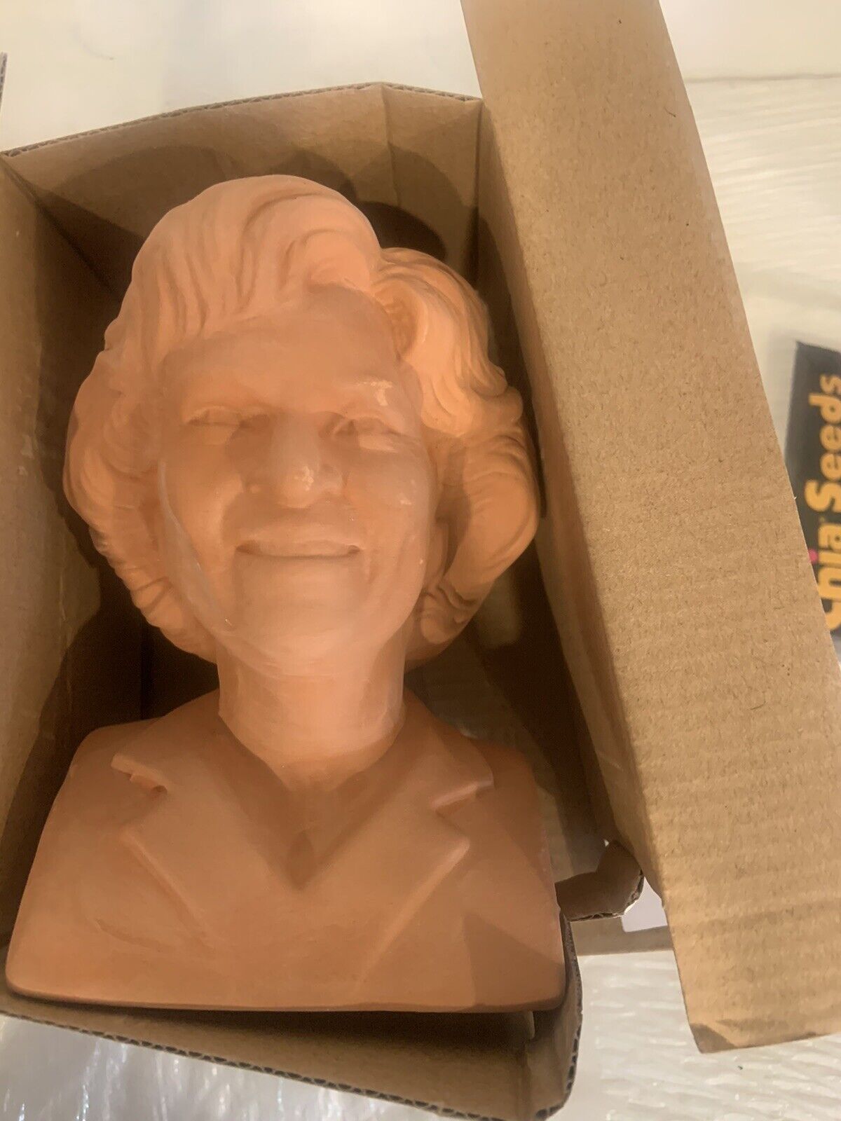 The Golden Girls “Rose” Chia Pet Decorative Planter Head Betty White New 2018 Chia Pet - фотография #16