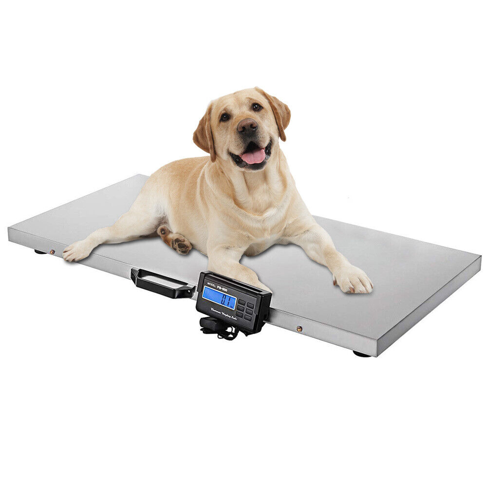 Digital Livestock Weight Vet Scale Pet Dog Sheep Scale Steel Platform 1100Lbs  No Brand Does Not Apply