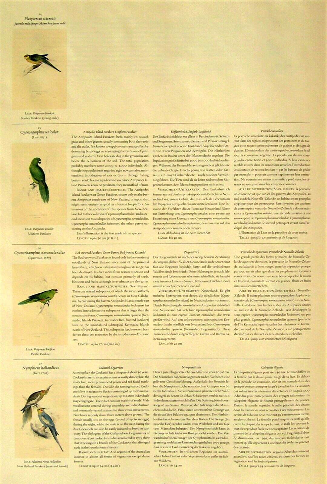 42 Lear Parrot Prints; The Complete Set Directly From His Original 1832 Folio Без бренда - фотография #15