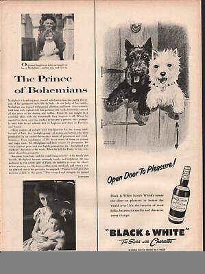 1958 Black & White PRINT AD  Morgan Dennis Scottish & Westie Terriers Open Door Без бренда