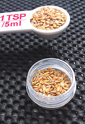 100 LOT Tiny SMALL Little Containers makeup seeds Geocache Pot 1 tsp Plastic NEW DecoJars 3301 - фотография #4