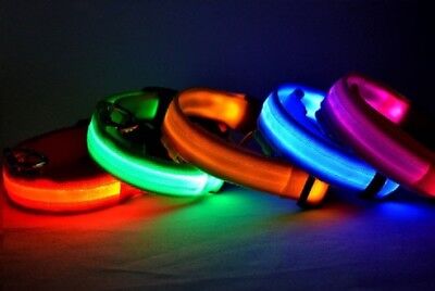 SAFETY LED Dog Pet Light Up Collar Night Glow Adjustable Bright 6 Color XS S L 4PawsPets - фотография #3