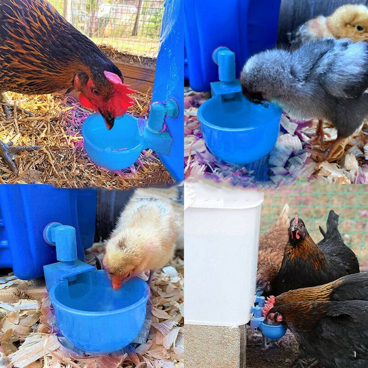 40x Automatic Water Cup Poultry Drinker Waterer Chicken Duck Quail Drinking Feed Unbranded Automatic Water Cups - фотография #3