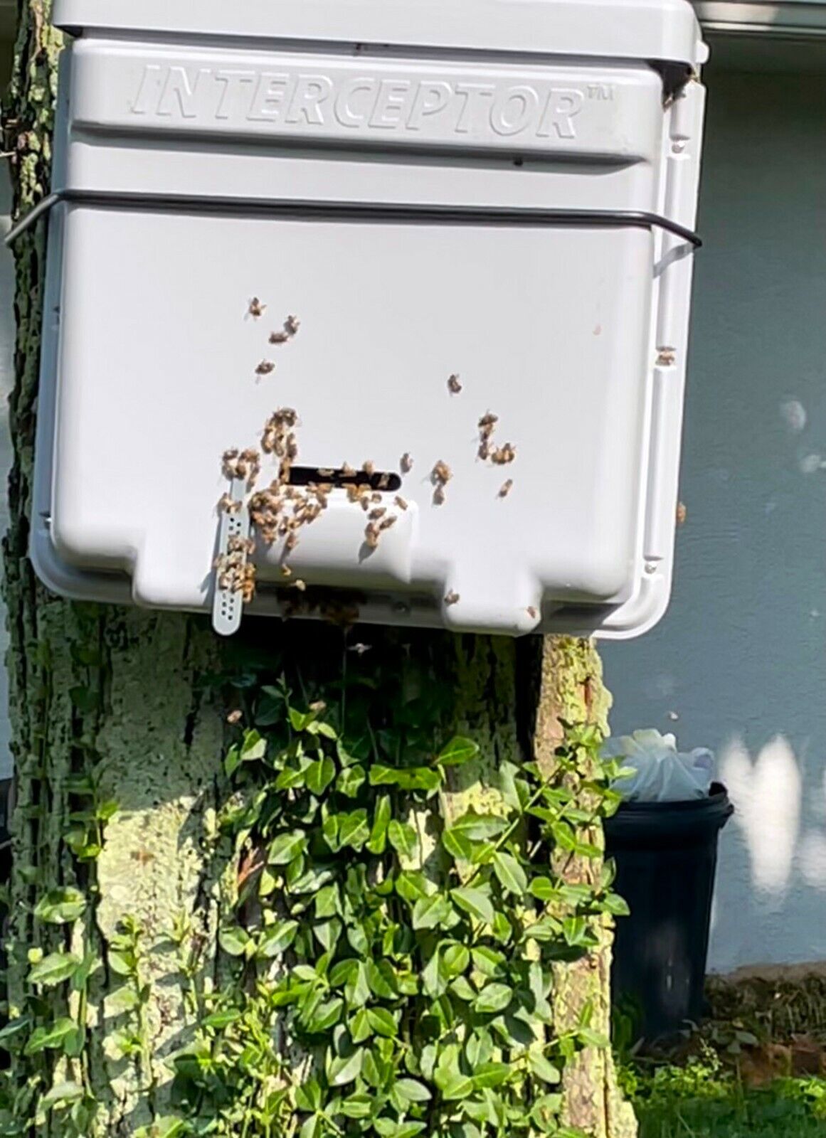 Honeybee Swarm Trap- LOT OF 5- THE INTERCEPTOR PRO - Bait Hives - Bee Equipment  THE INTERCEPTOR PRO INTERCEPTOR PRO - фотография #2