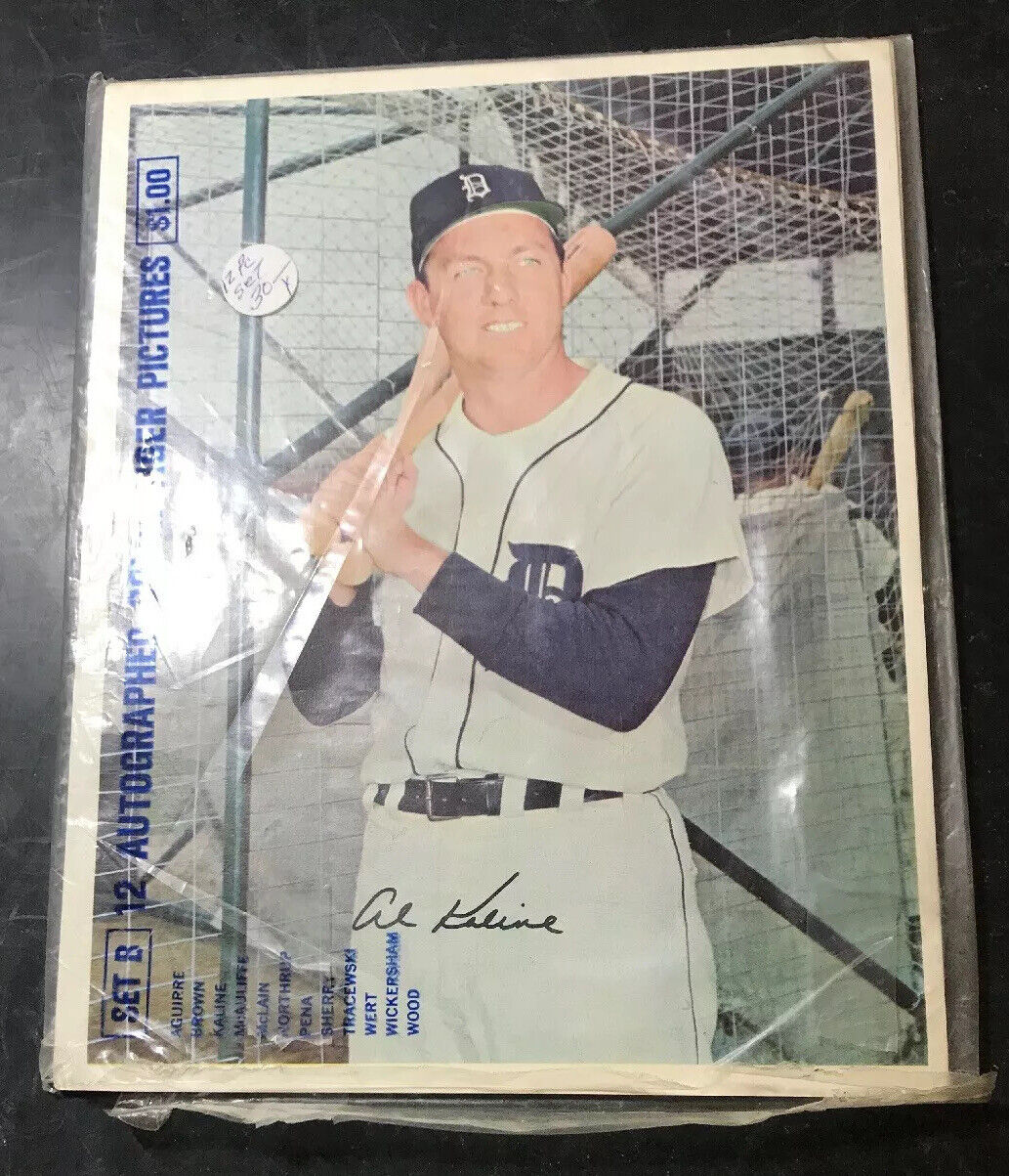 Lot of 12 Tiger Autographed 8X10 Color Tiger Prints KALINE BROWN MCCLAIN HOF  Без бренда - фотография #4