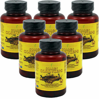 6 x WOHO Natural Golden Cordyceps 60 Capsules Fresh Free Shipping Made In USA WooHoo Natural 40570x6