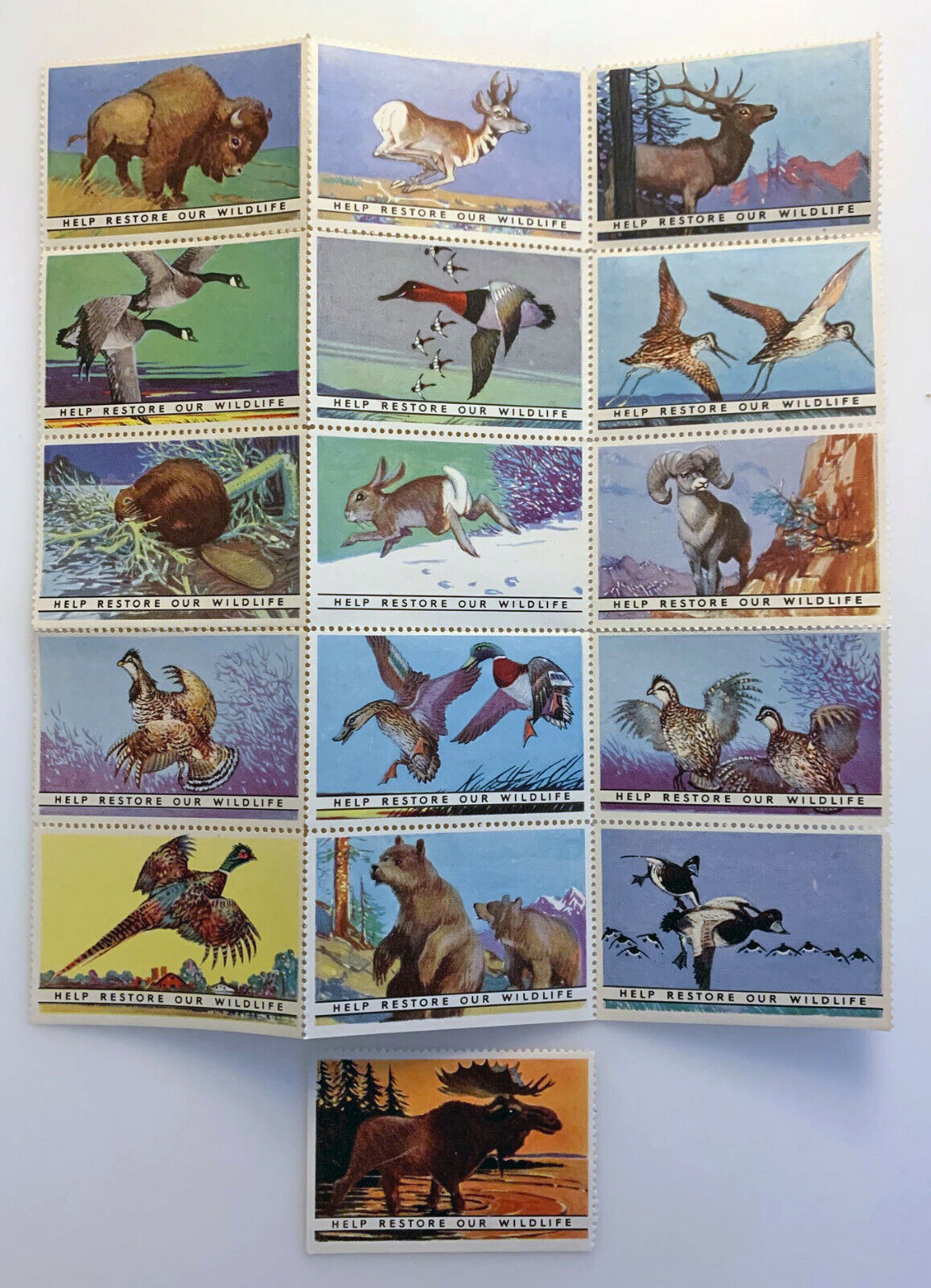 LOT (16) NATIONAL WILDLIFE FEDERATION STAMPS (1938) "HELP RESTORE OUR WILDLIFE" Без бренда