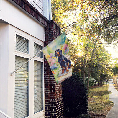 Gordon Setter Spring Path Flag Canvas House Size DAC6640CHF Без бренда - фотография #2