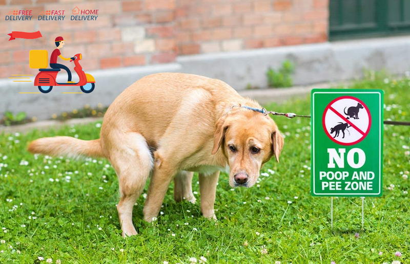 Double Side No Poop and Pee Zone Yard Signs with Stakes, 8''X12'' No Pooping Dog Does not apply - фотография #4
