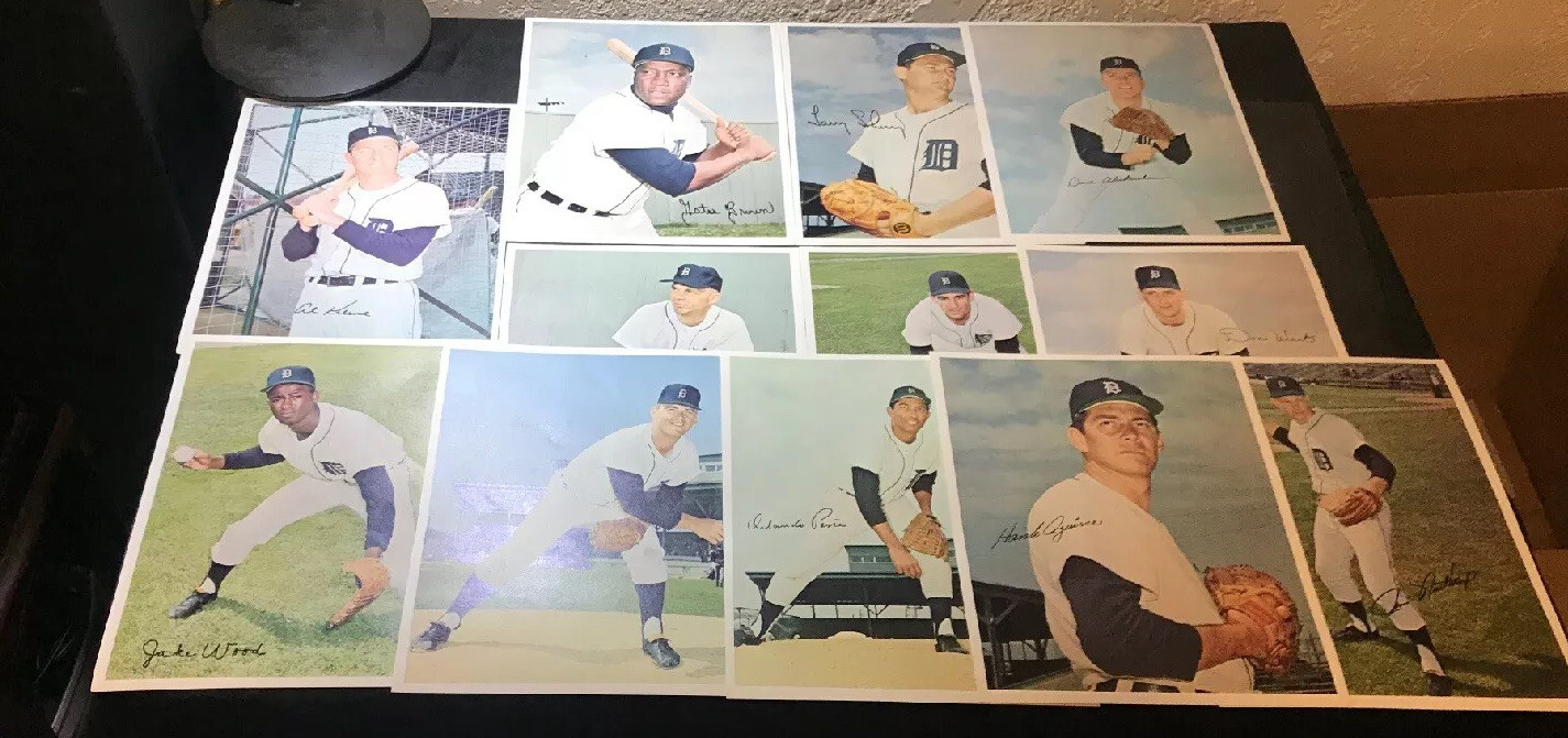 Lot of 12 Tiger Autographed 8X10 Color Tiger Prints KALINE BROWN MCCLAIN HOF  Без бренда