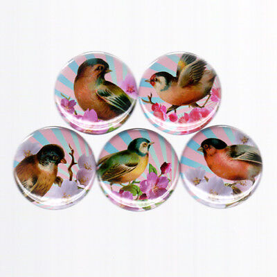 BIRDS pinback button set badge flowers wings colorful sparrow finch cute pretty Без бренда