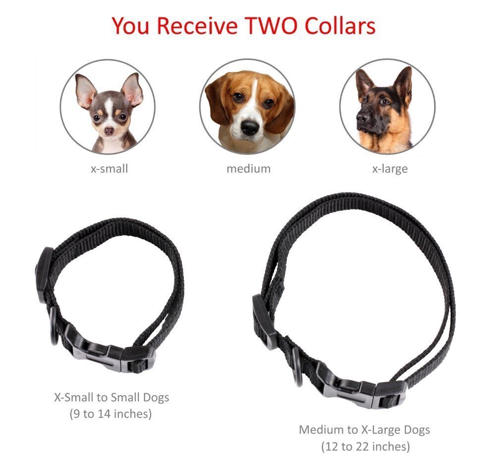 Shock Collar for Small Dogs w/Remote + FREE TrainingClicker- 3 Mode Dog Training eXuby EXB-DCH - фотография #3