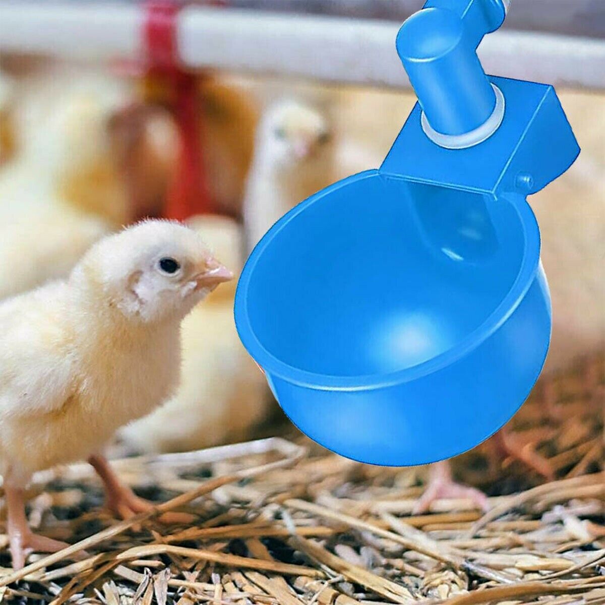 40x Automatic Water Cup Poultry Drinker Waterer Chicken Duck Quail Drinking Feed Unbranded Automatic Water Cups - фотография #12