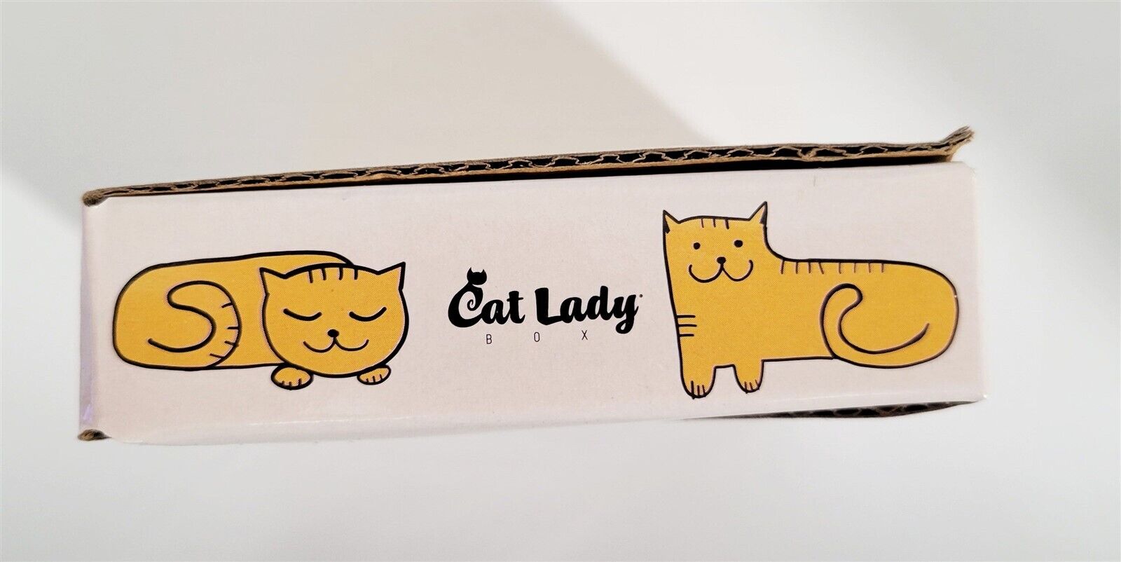 Cat Lady Box Orange Kitty Cat Cats Trinket Tray Jewelry Dish Crazy Cat Lady 3 in Cat Lady Box - фотография #7