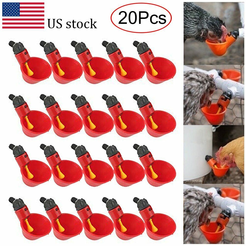 20pcs Poultry Water Drinking Cups Waterer Chicken Hen Plastic Automatic Drinker Unbranded Does Not Apply
