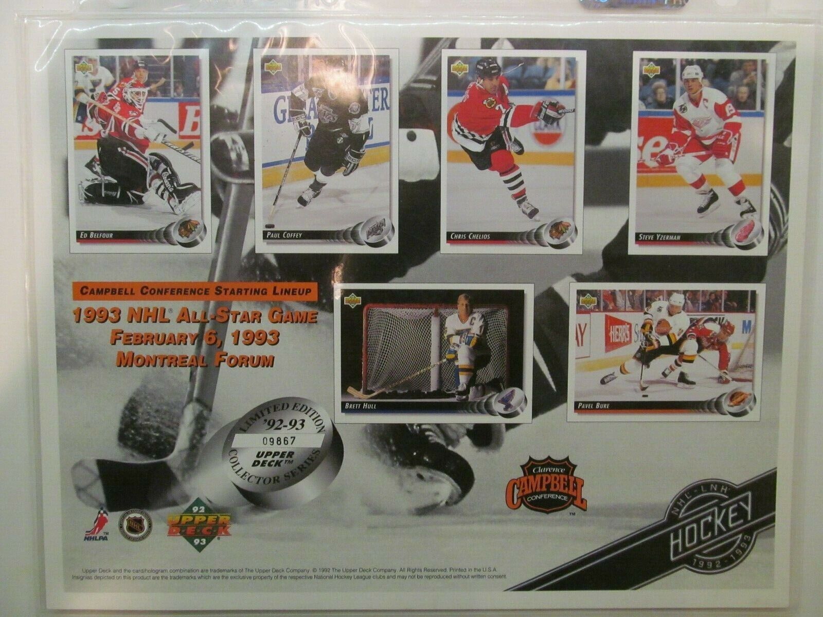 Huge Hockey Lot..Promo, Limited Edition, Uncut Sheets...Roenick/Hull/Bure...L@@K Assorted - фотография #10