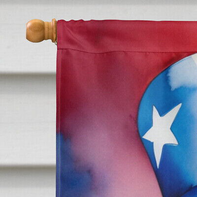 American Water Spaniel Patriotic American Flag Canvas House Size DAC5643CHF Без бренда - фотография #3