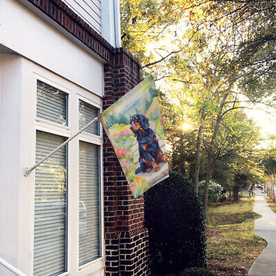 Gordon Setter Spring Path Flag Canvas House Size DAC6639CHF Без бренда - фотография #2