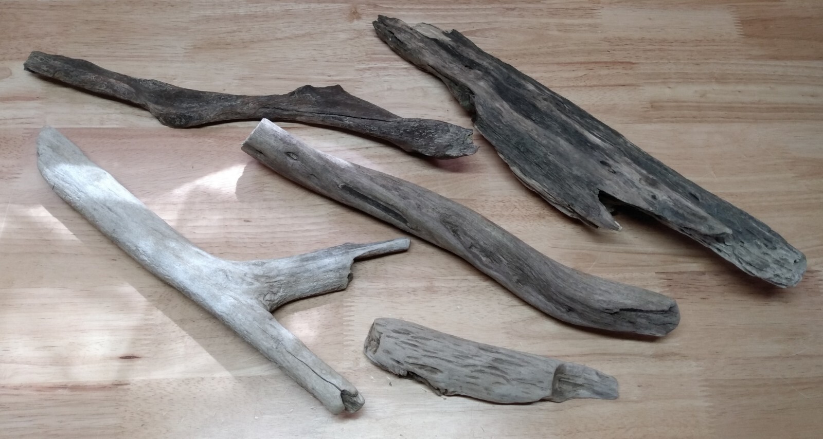 Lot of 5 Driftwood Pieces Reptile Terrarium Tank Art Enclosure Habitat Vivarium  Unbranded