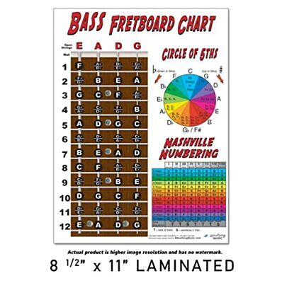 Laminated 4 String Bass Fretboard Notes Chart Nashville Number System & Circl... Без бренда - фотография #2