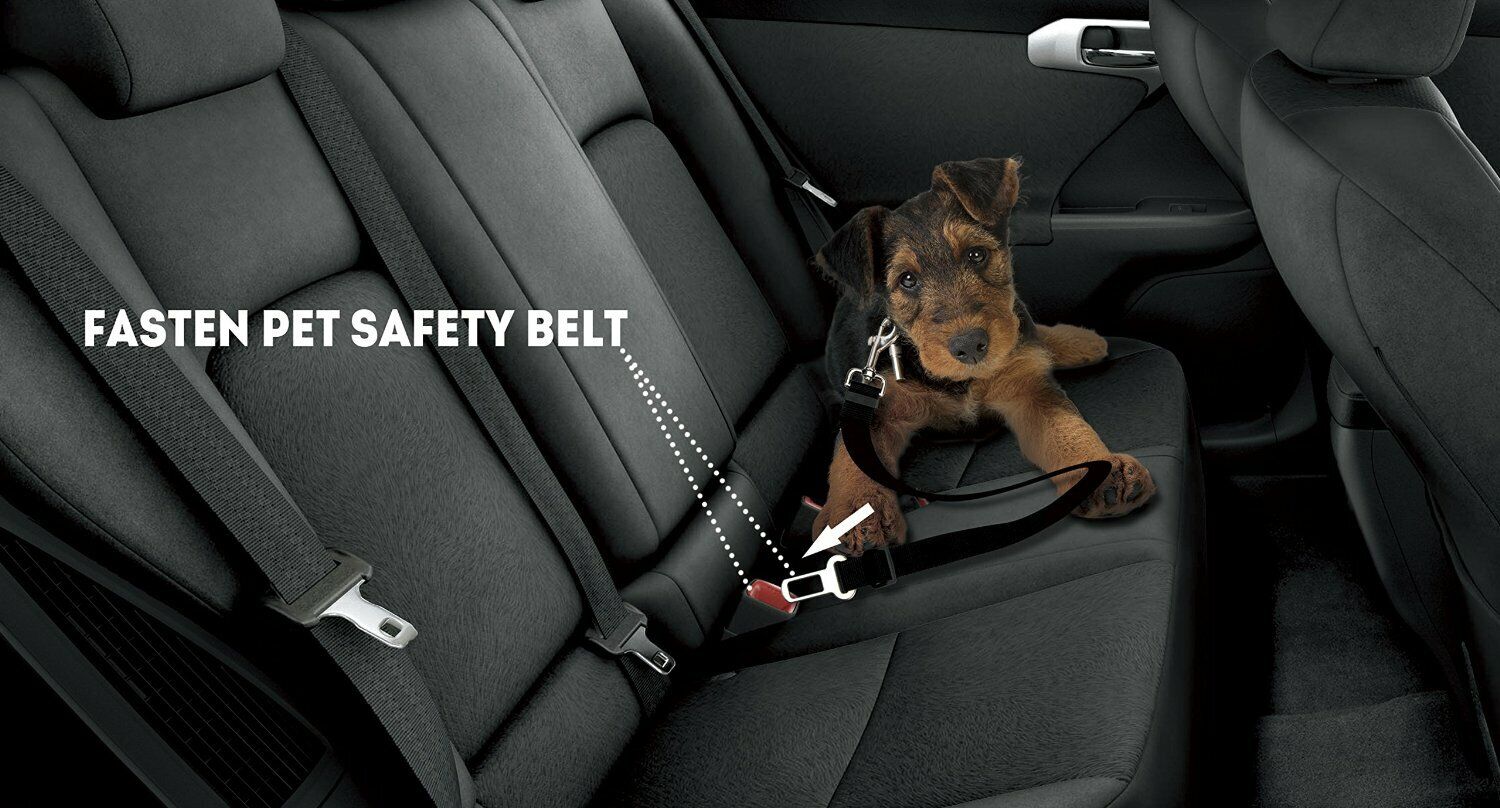 3 X Colorful Dog Pet Safety Adjustable Car Seat Belt Harness Leash Travel Lead Unbranded 3PK Seatbelts - фотография #7
