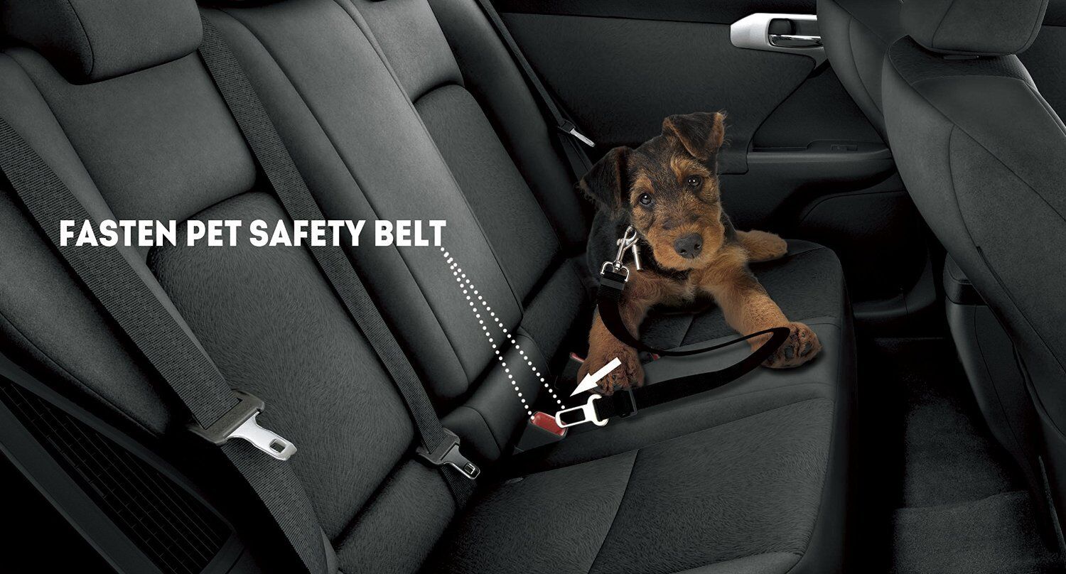 2x D BLUE Dog Pet Puppy Safety Seatbelt for Car Vehicle Seat Belt Harness Lead Unbranded - фотография #5