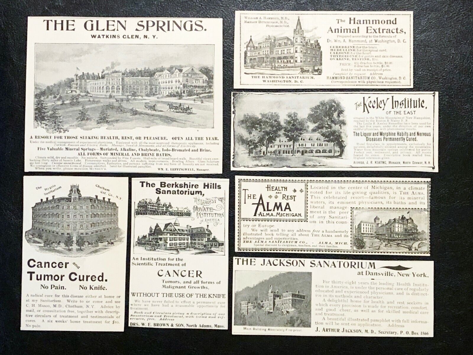 1890s SANITARIUM BUILDINGS Vtg Print Ad Lot~Glen Springs,The Alma,Hygeia,Keeley+ Без бренда