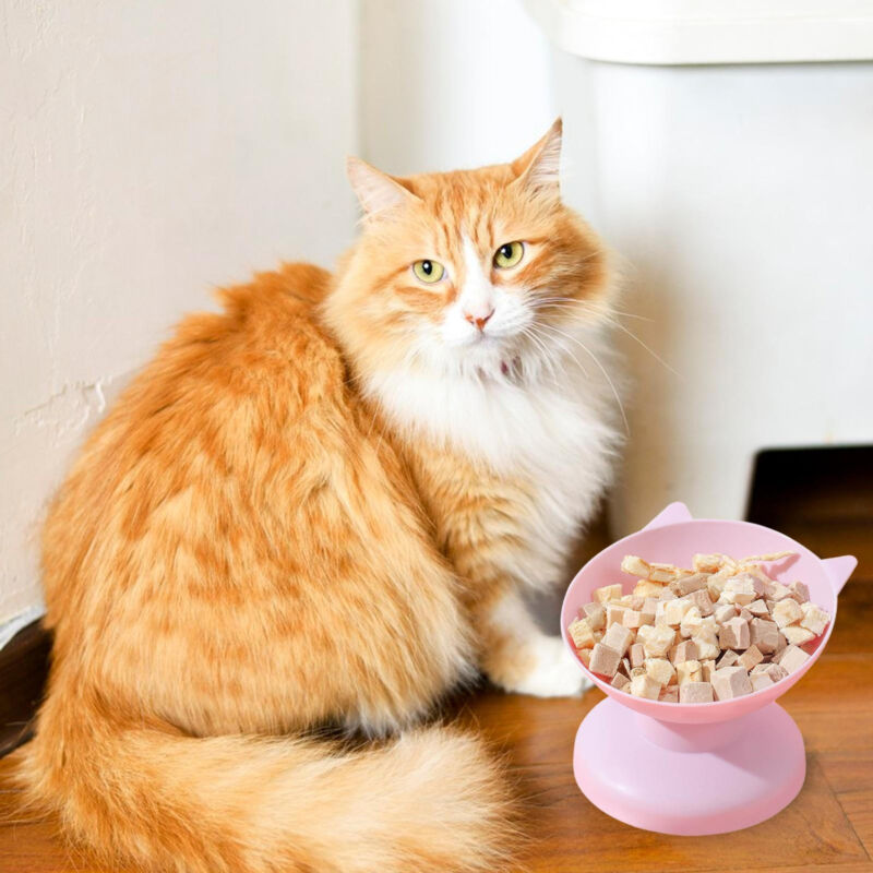 Tilted Cat Food Bowls Anti Vomiting Raised Cat Bowl Elevated Cat Dog Food Bowl Без бренда - фотография #9
