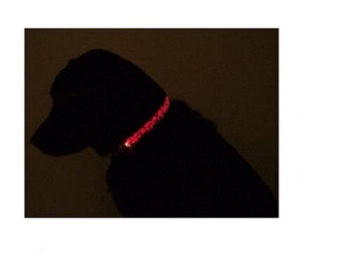 (10) NEW LED Light Lighted Adjustable Dog Puppy Safety Small Collar- Wholesale Unbranded LLL100 - фотография #3