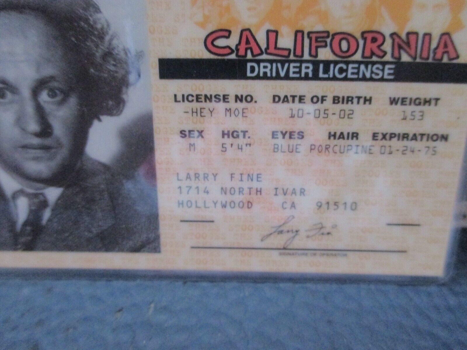 Set of 3 Three Stooges Laminated Drivers License, Moe, Larry, Curly,  LOOK! Без бренда - фотография #3
