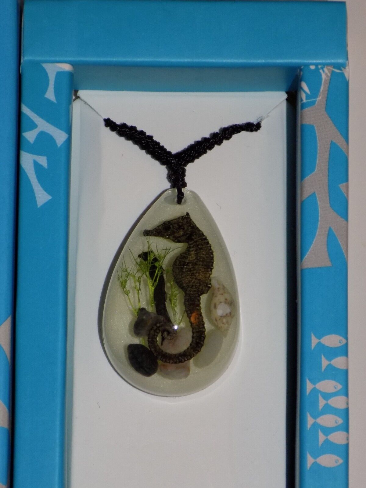 REAL GLOW IN THE DARK SEAHORSE SHELL SPECIMEN NECKLACE ACRYLIC ADJUSTABLE CHAIN Без бренда