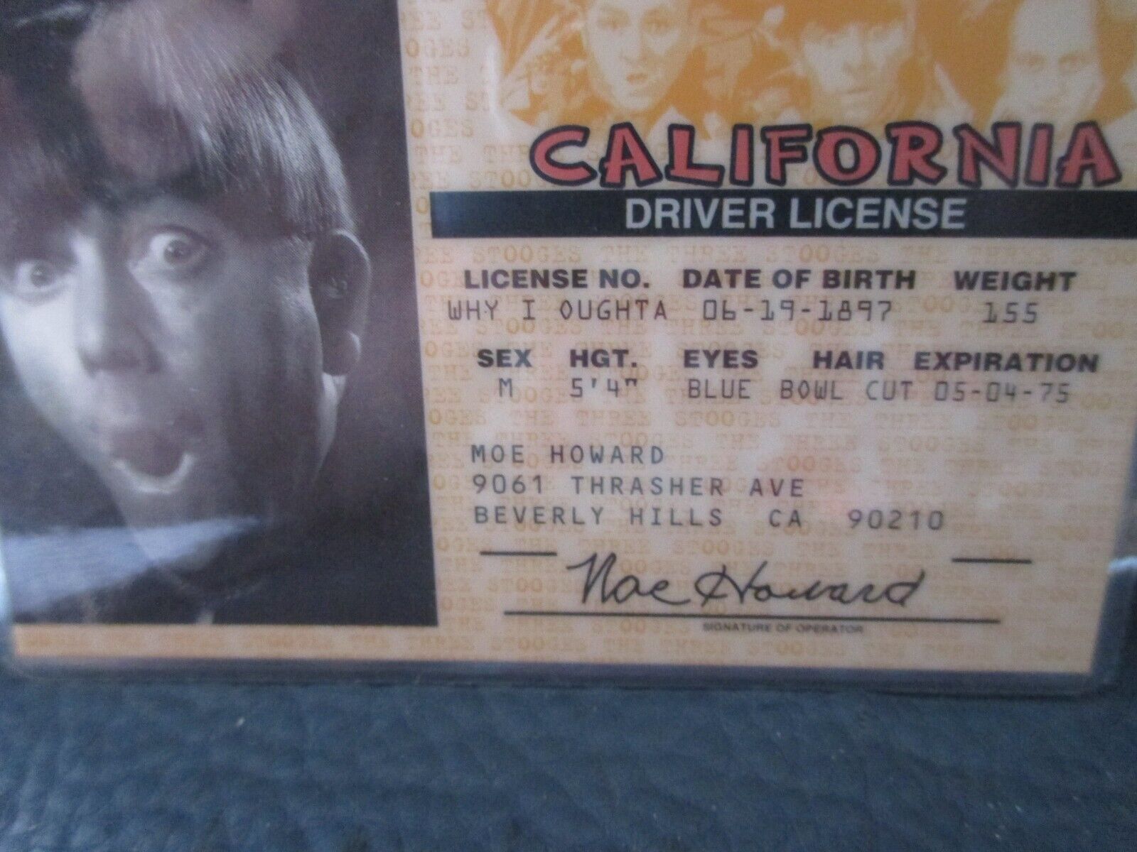 Set of 3 Three Stooges Laminated Drivers License, Moe, Larry, Curly,  LOOK! Без бренда - фотография #2
