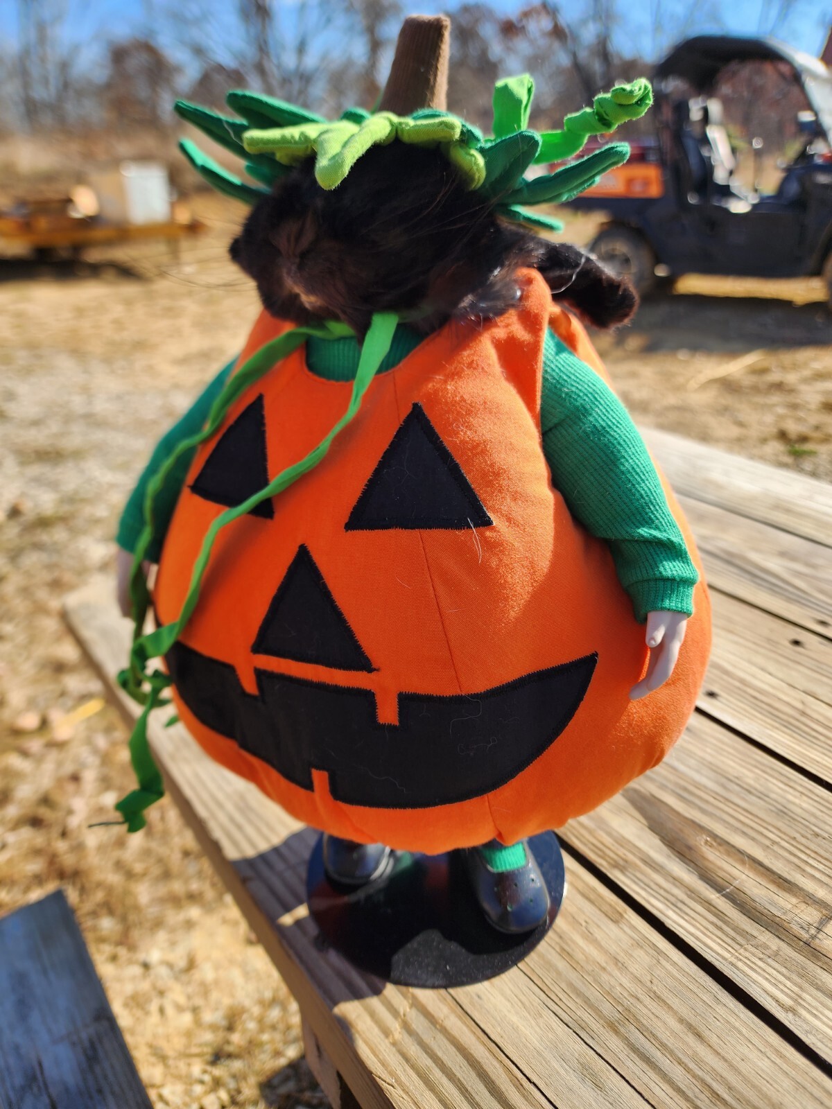 Halloween Pumpkin Rabbit Doll taxidermy rabbit Bunny hunting cabin Mount Без бренда - фотография #3
