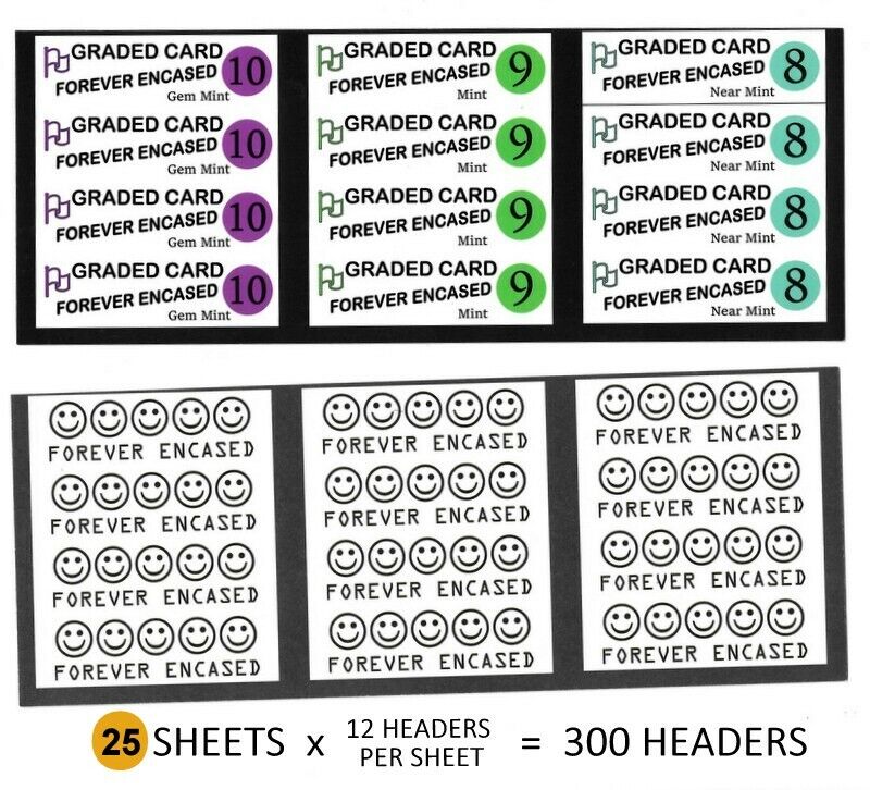 300 Generic Graded Grading Card HEADERS Labels for Empty Slabs Unbranded