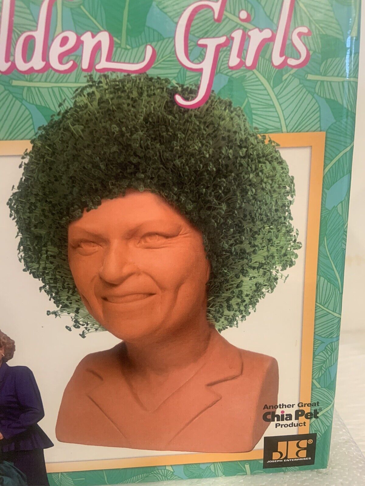 The Golden Girls “Rose” Chia Pet Decorative Planter Head Betty White New 2018 Chia Pet - фотография #8