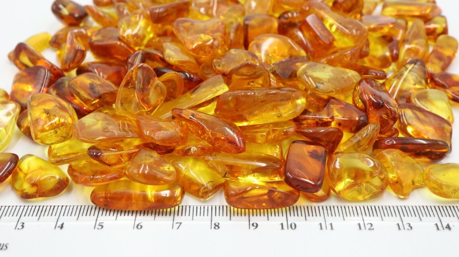 WHOLESALE 20 Baltic LARGER Amber Insects | Certified | Buy more with Discount amber-us