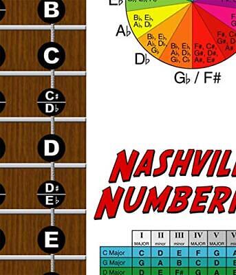 Laminated 4 String Bass Fretboard Notes Chart Nashville Number System & Circl... Без бренда - фотография #3