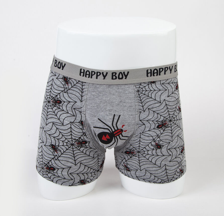 5pc Size 5 4－6 years Comfort Cotton Boys Boxer Briefs Spider Kids Underwear Unbranded - фотография #3