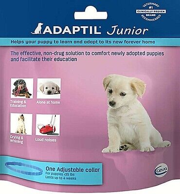 8 PACKAGES ADAPTIL JUNIOR PUPPY COMFORTING STRESS COLLARS NATURAL DOG PHEROMONES Adaptil 851321007144