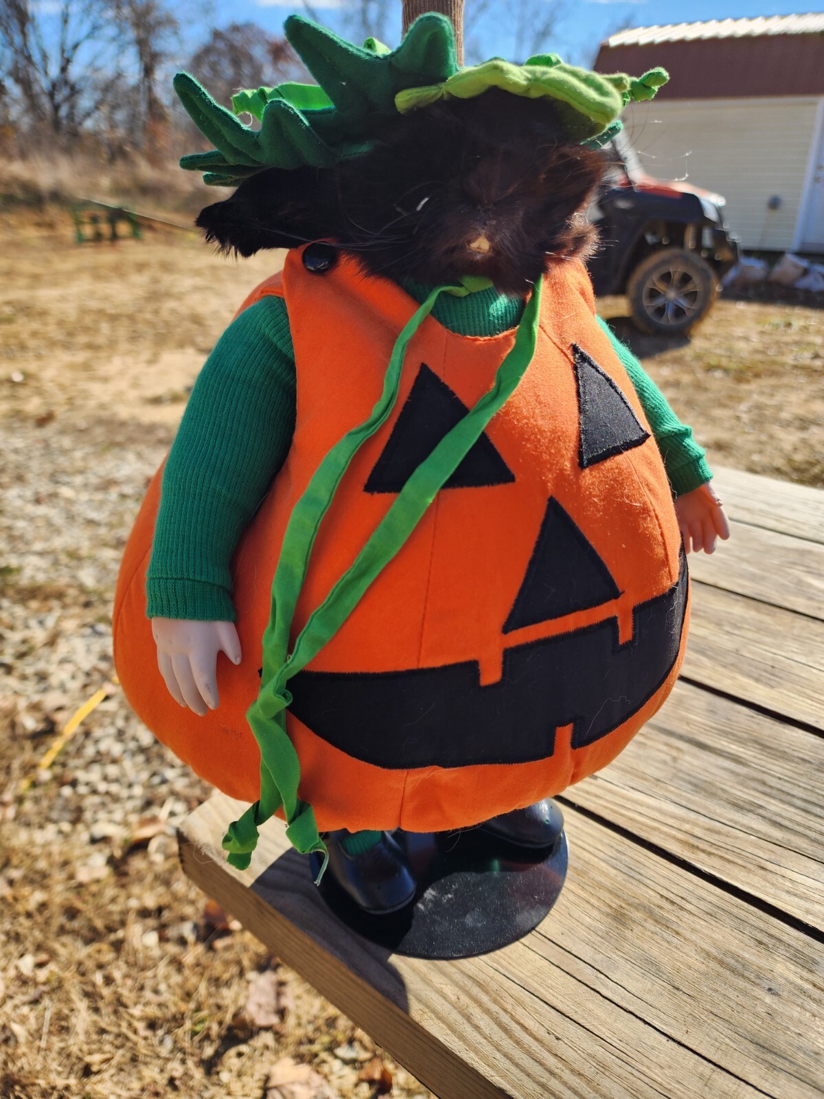Halloween Pumpkin Rabbit Doll taxidermy rabbit Bunny hunting cabin Mount Без бренда - фотография #4