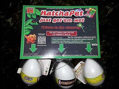 HatchaPet Eggs Growing Pet Dinosaur Eggs x3 - Perfect Gift for Easter!! HatchaPet