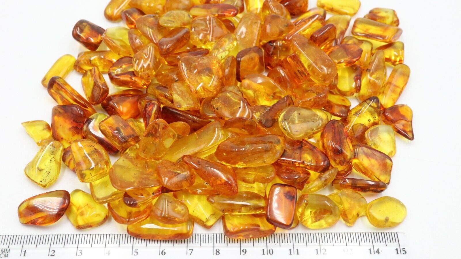 WHOLESALE 20 Baltic LARGER Amber Insects | Certified | Buy more with Discount amber-us - фотография #2