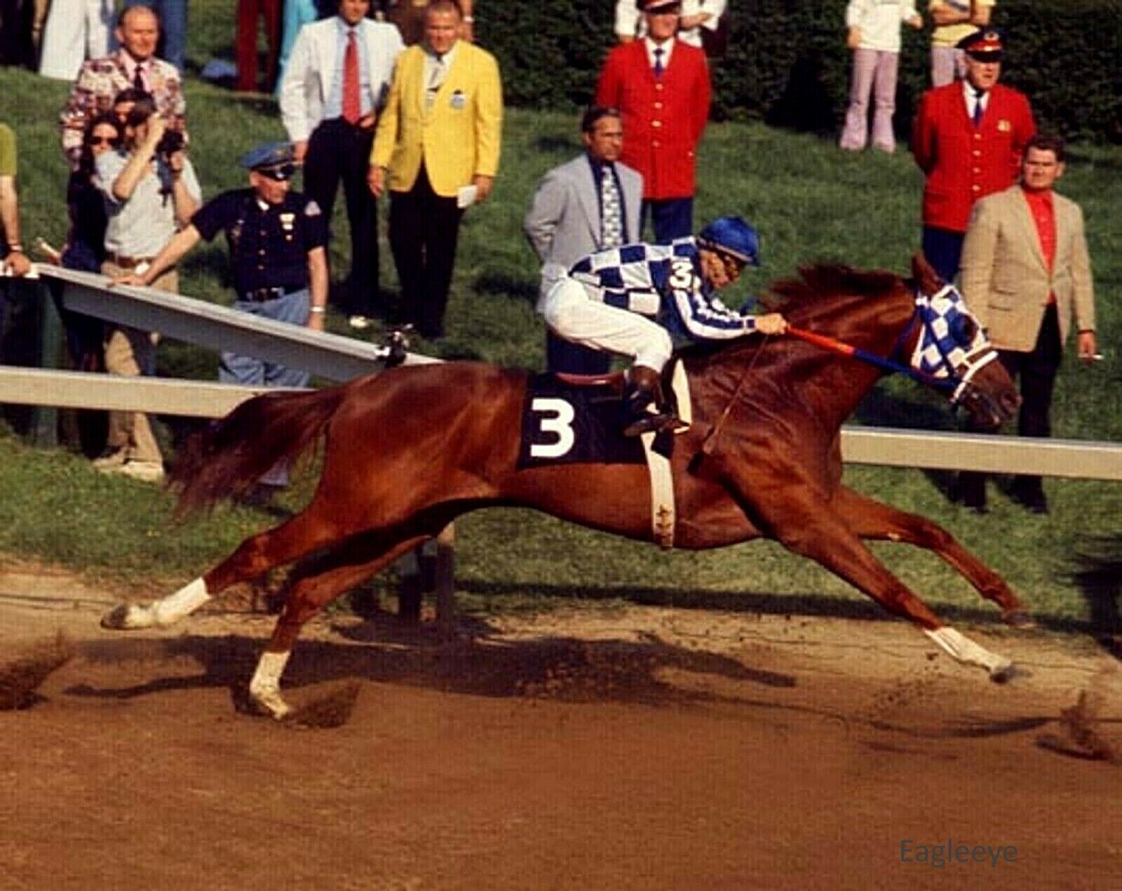 LOT of 2 TWO Secretariat 8 X 10 PHOTO HORSE RACING Kentucky Derby Preakness Без бренда - фотография #2