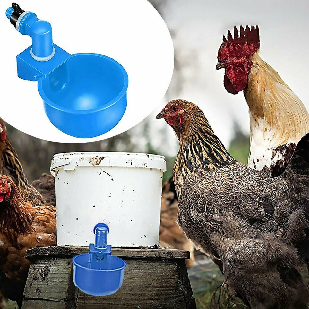 40x Automatic Water Cup Poultry Drinker Waterer Chicken Duck Quail Drinking Feed Unbranded Automatic Water Cups - фотография #10