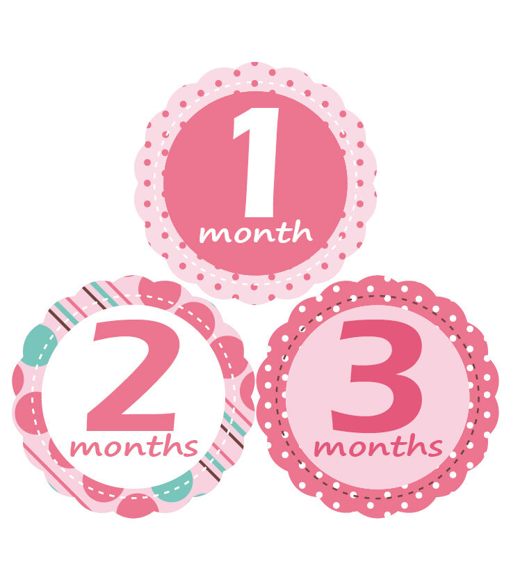 2 X MuchMore Cute Monthly Baby Stickers Girl Photo prop, Milestone Shower Gift 'MuchMore' #8002
