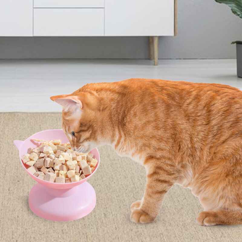 Tilted Cat Food Bowls Anti Vomiting Raised Cat Bowl Elevated Cat Dog Food Bowl Без бренда - фотография #6