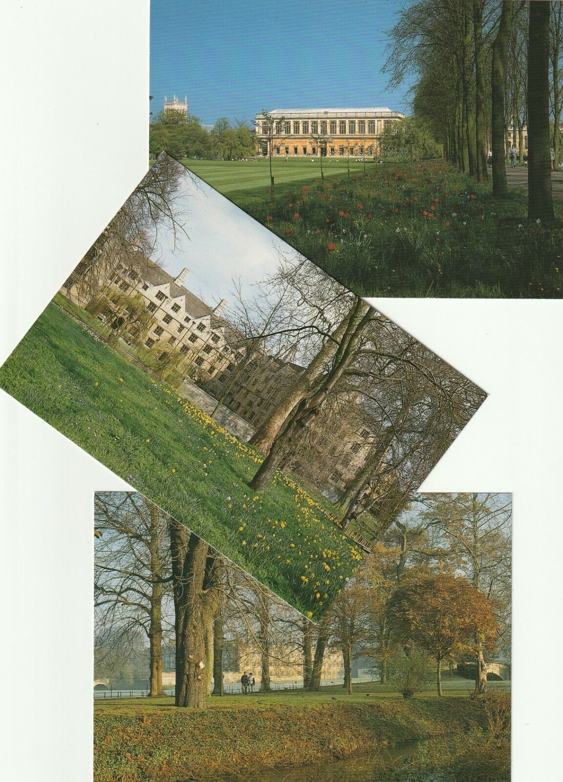 CAMBRIDGE - KINGS COLLEGE, TRINITY CLARE COLLEGES - THREE CARDS ENGLAND POSTCARD Без бренда